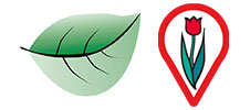 Linden-Apotheke | Lars Hombach Logo